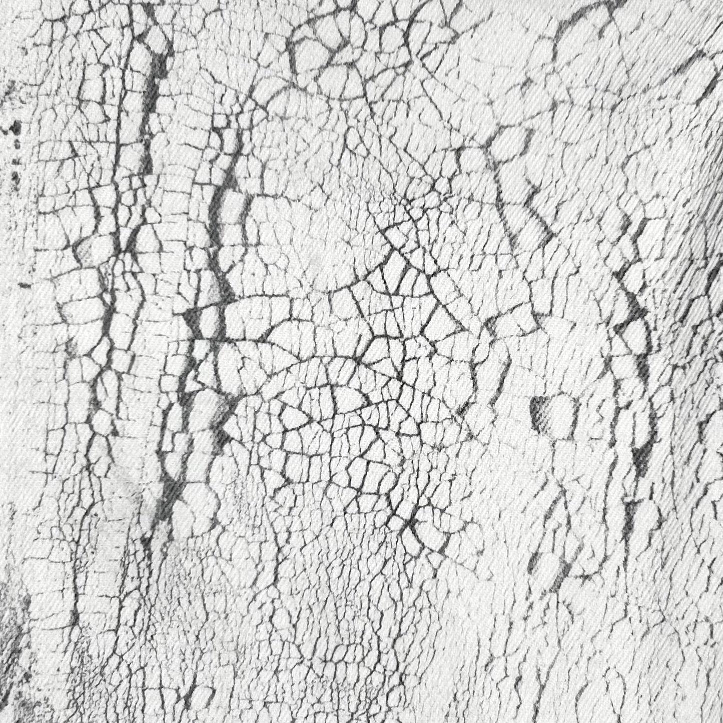 Balenciaga Cracked Optic Jeans - AW14