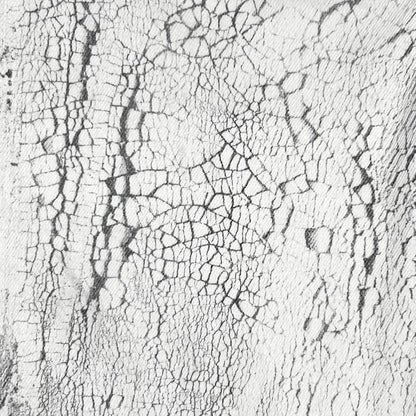 Balenciaga Cracked Optic Jeans - AW14